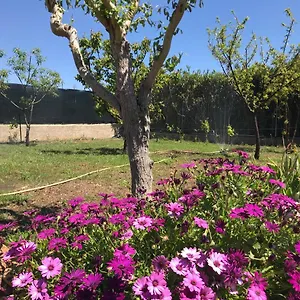https://casal-baraz-santa-maria-la-palma-07041.hotelsalgherosardinia.com